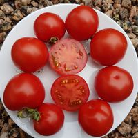 Barnaulskij Konservnyj 